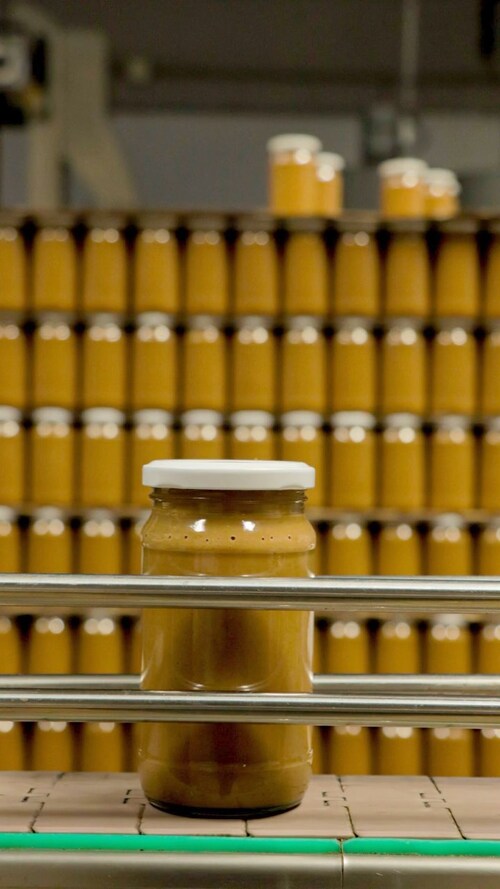 industrialización de mantequilla de maní